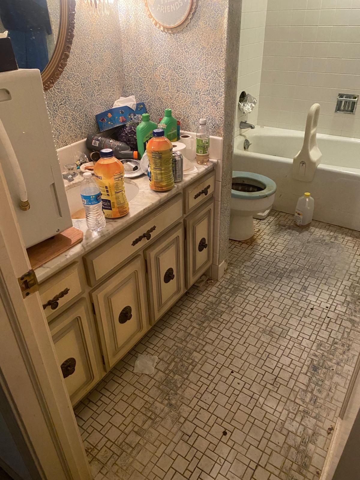Hoarding cleanup before photo - cluttered bathroom with debris in Oak Lawn IL